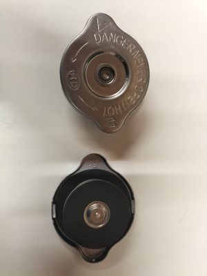 CAP010
